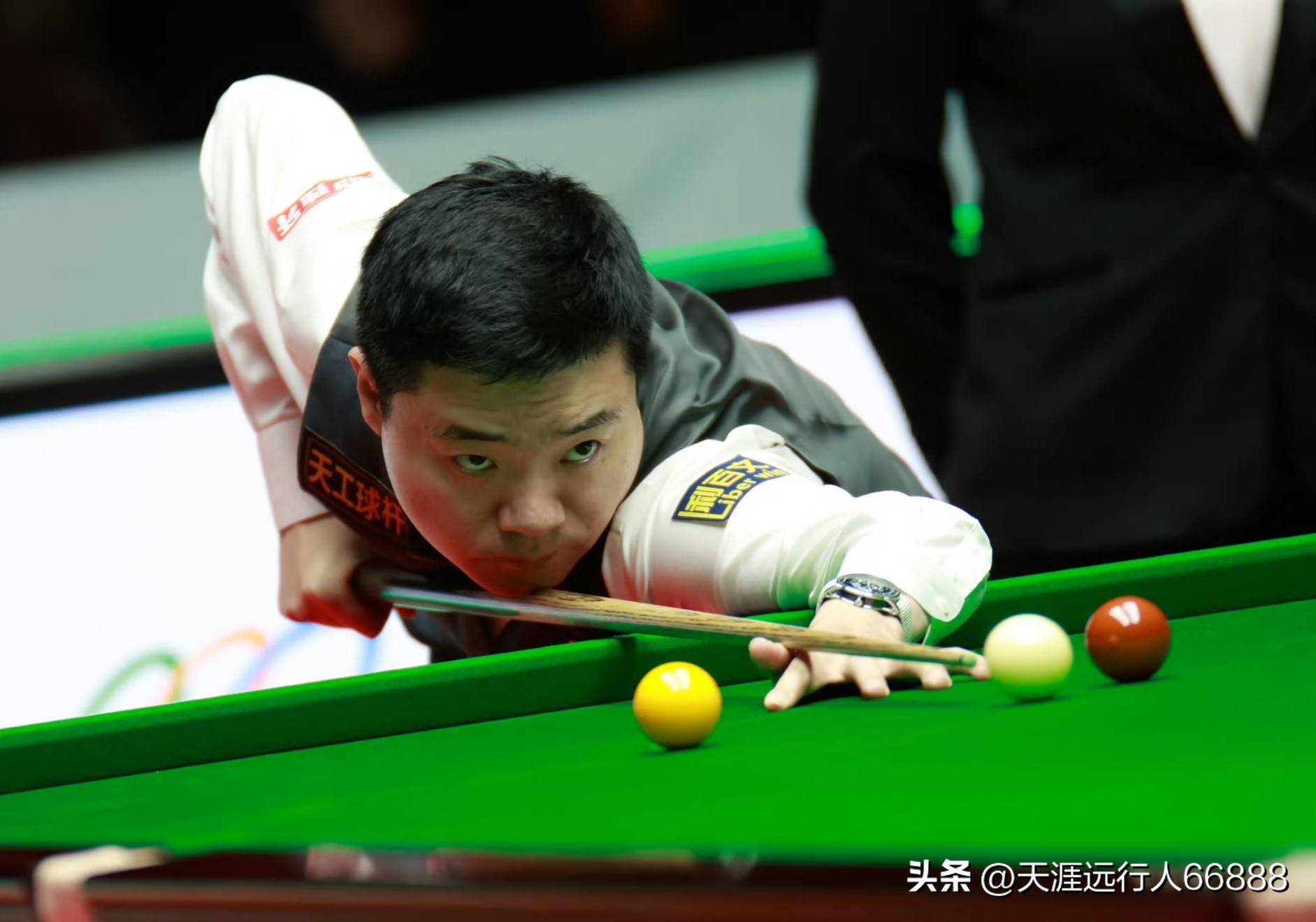 仅包括经验 仅包括经验