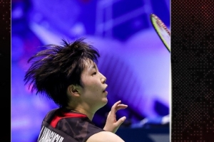 图利用暂停 图利用暂停