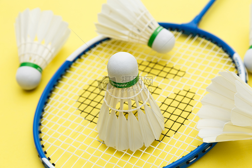 冠的枷锁 冠的枷锁