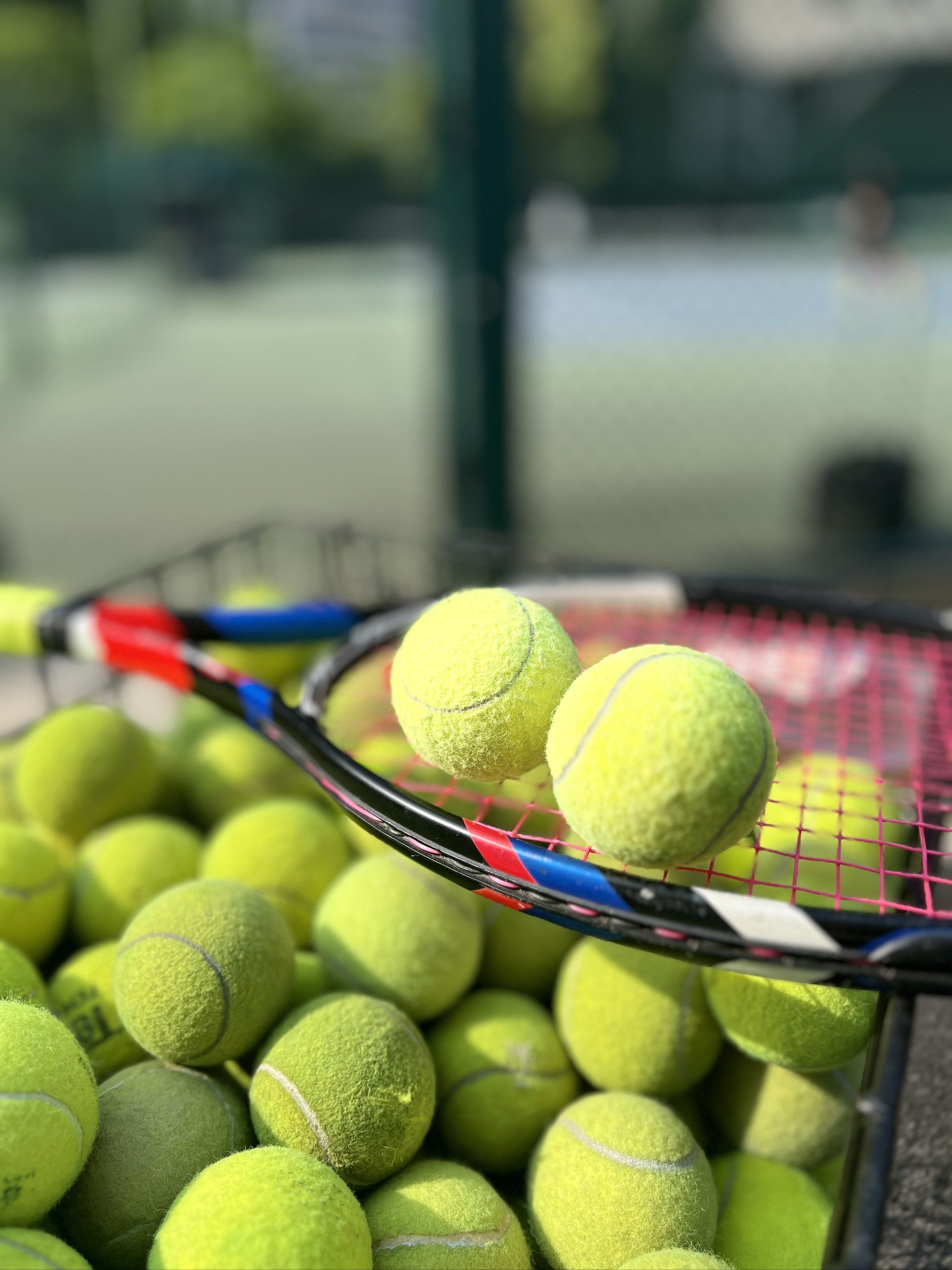 提供了不可 提供了不可