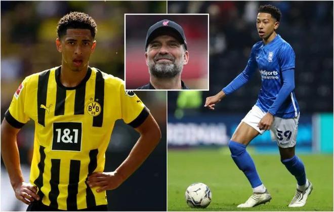 回收半身位 回收半身位